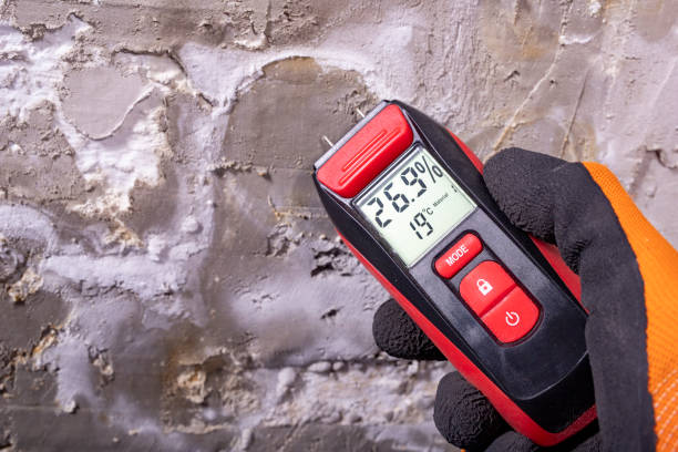 Best Mold Damage Repair  in Ripon, WI